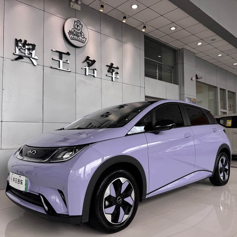 Dolphin 2024 Glory Edition 420km Fashion Edition Dolphin 2024 Glory Edition 420km Fashion Edition