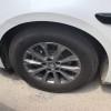 Qin L 2025 DM-i Intelligent Driving Edition 80KM Leading Edition