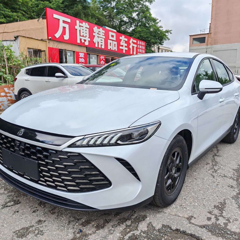 Qin PLUS 2025 DM-i Intelligent Driving Edition 55KM Leading Edition