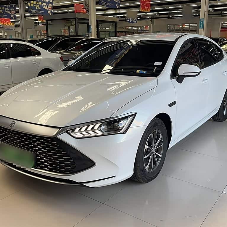 Qin PLUS 2024 Honor Edition DM-i 55KM Leading Edition