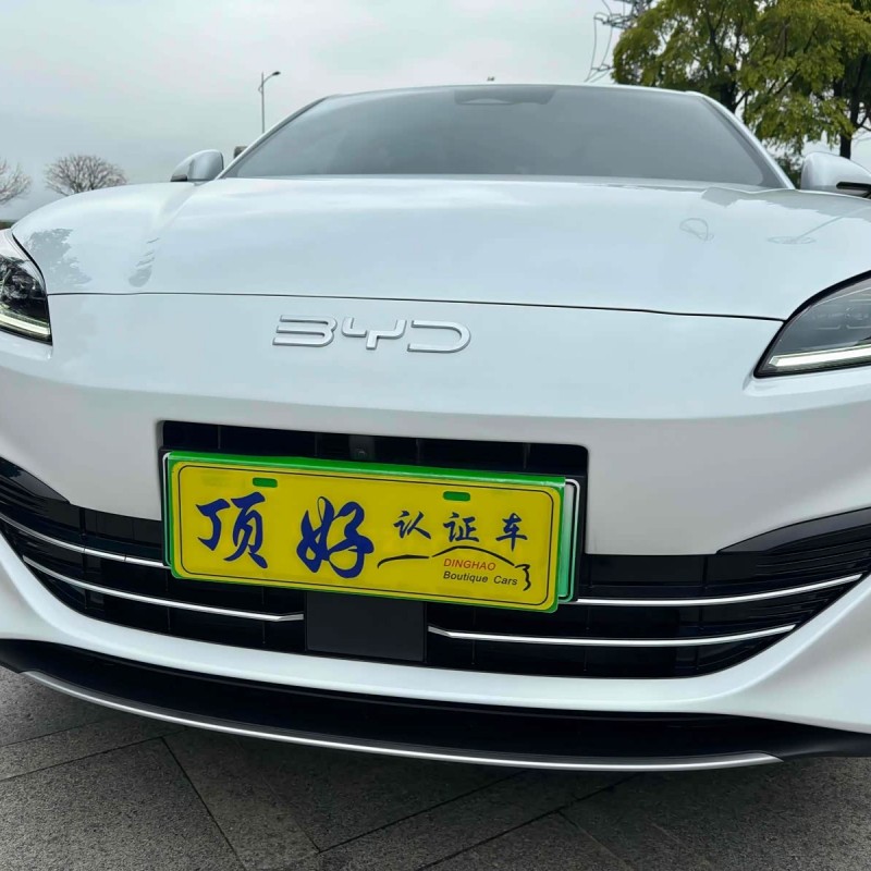 Haibao 06 New Energy 2024 DM-i 120KM Flagship Model Haibao 06 New Energy 2024 DM-i 120KM Flagship Model