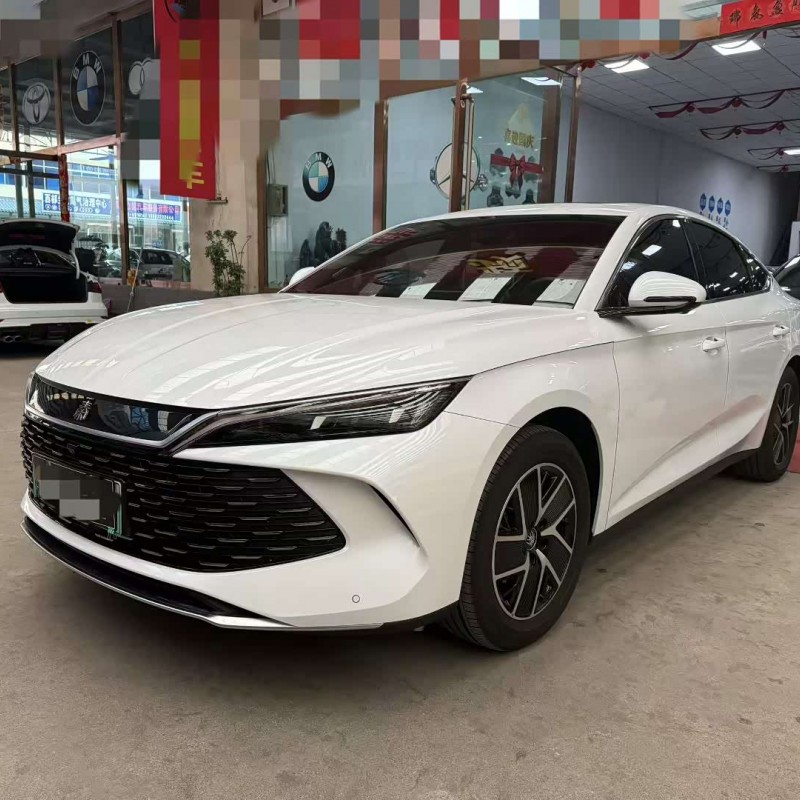 Qin L 2024 DM-i 120KM Leading Edition
