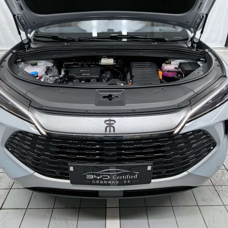 Song L DM-i 2024 160km Excellence Edition Song L DM-i 2024 160km Excellence Edition
