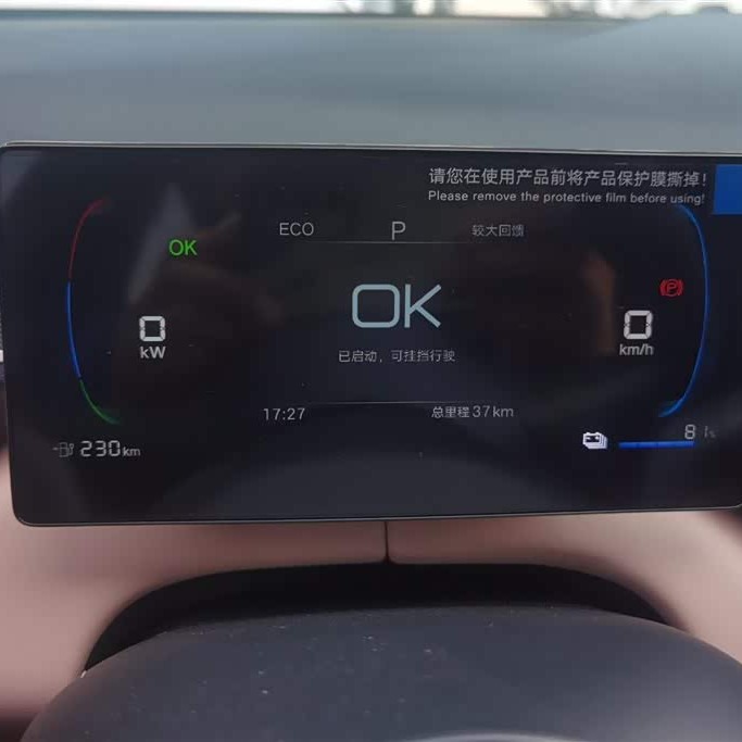Seagull 2025 Smart Driving Edition 305km Vitality Edition Seagull 2025 Smart Driving Edition 305km Vitality Edition