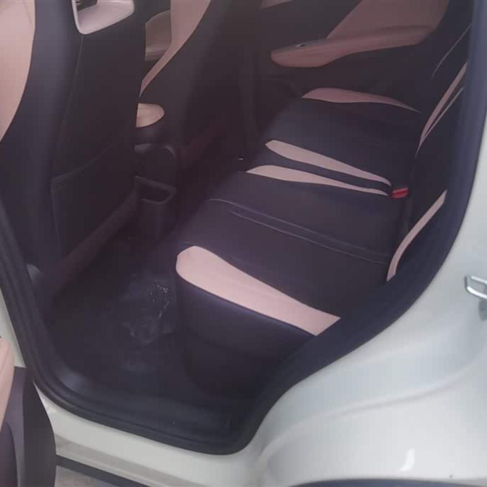 Seagull 2025 Smart Driving Edition 305km Vitality Edition Seagull 2025 Smart Driving Edition 305km Vitality Edition