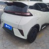 Seagull 2025 Smart Driving Edition 305km Vitality Edition