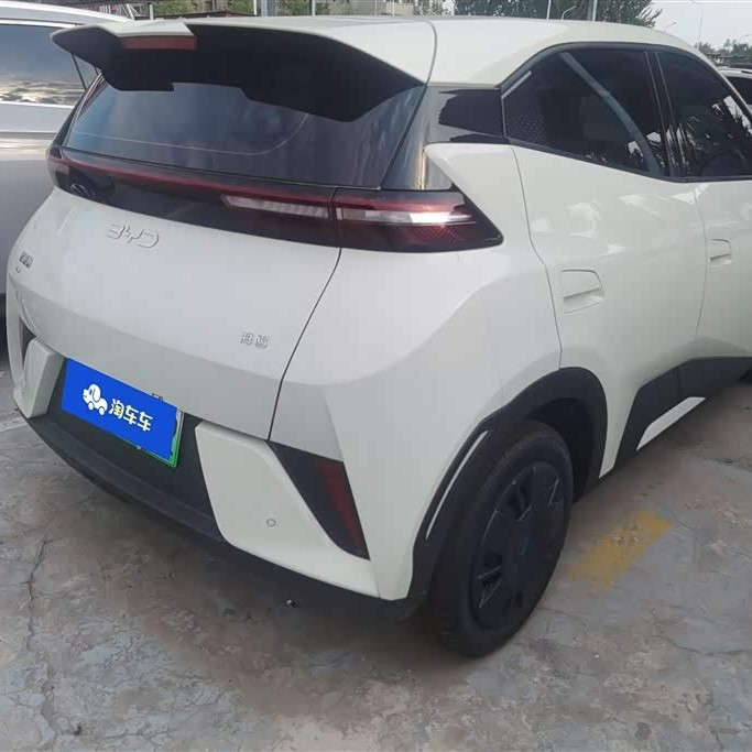 Seagull 2025 Smart Driving Edition 305km Vitality Edition Seagull 2025 Smart Driving Edition 305km Vitality Edition