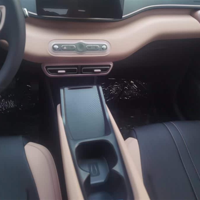 Seagull 2025 Smart Driving Edition 305km Vitality Edition Seagull 2025 Smart Driving Edition 305km Vitality Edition