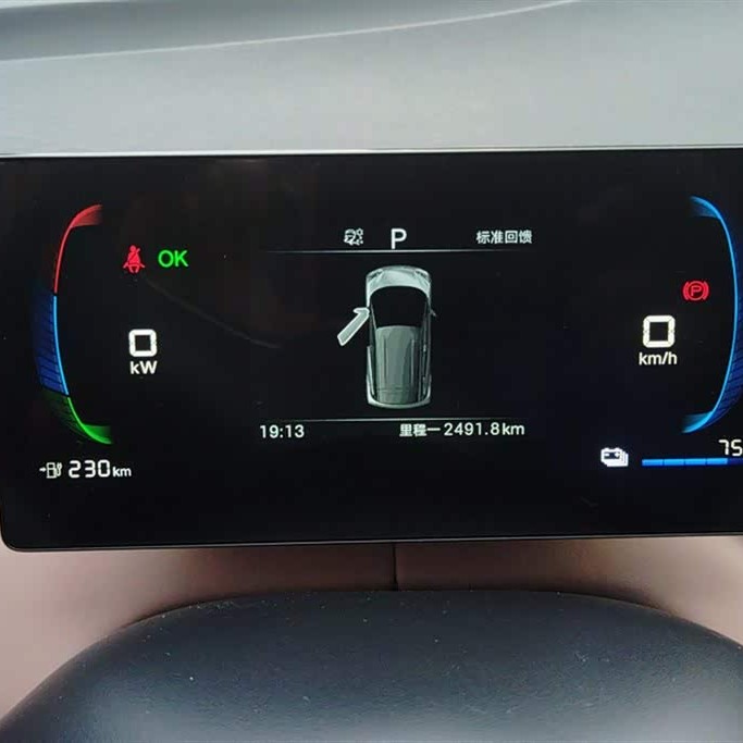 Seagull 2025 305km Vitality Edition Seagull 2025 305km Vitality Edition
