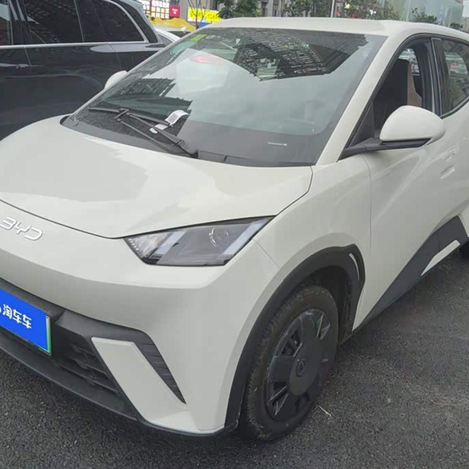 Seagull 2025 305km Vitality Edition