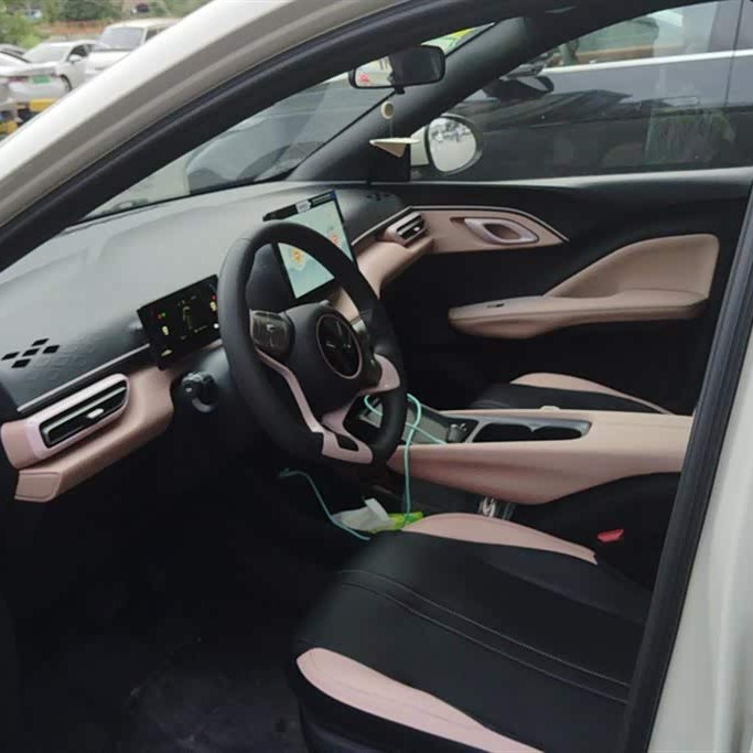 Seagull 2025 305km Vitality Edition Seagull 2025 305km Vitality Edition