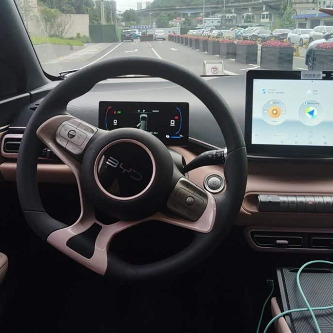Seagull 2025 305km Vitality Edition Seagull 2025 305km Vitality Edition