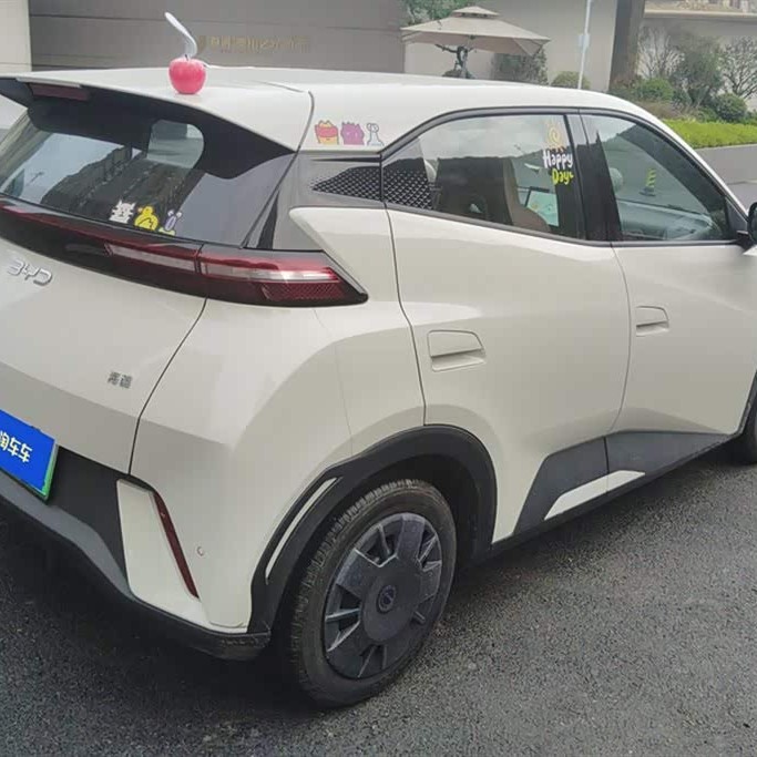 Seagull 2025 305km Vitality Edition Seagull 2025 305km Vitality Edition