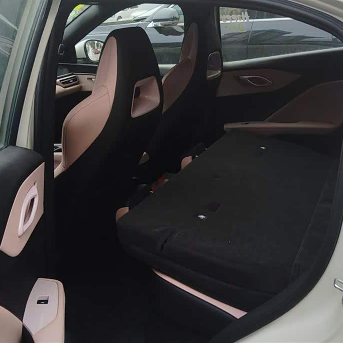 Seagull 2025 305km Vitality Edition Seagull 2025 305km Vitality Edition