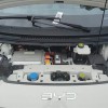 Seagull 2025 305km Vitality Edition