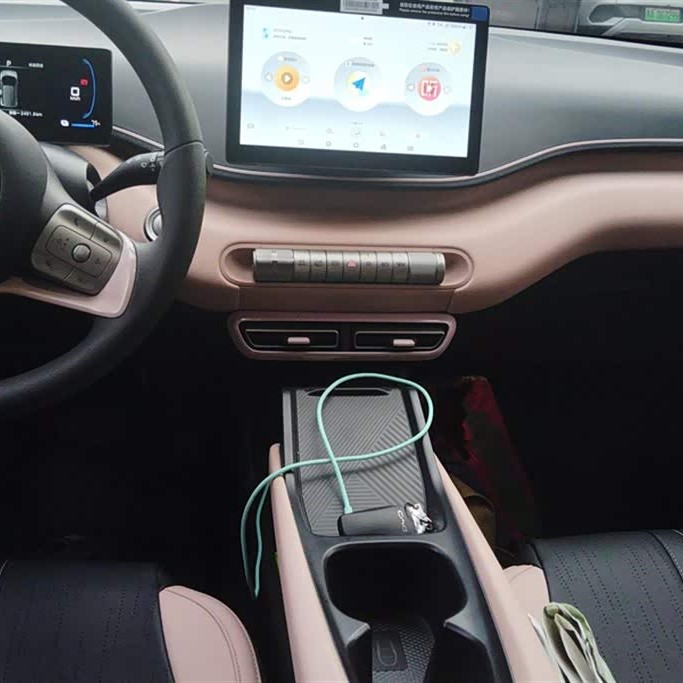 Seagull 2025 305km Vitality Edition Seagull 2025 305km Vitality Edition