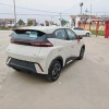 Seagull 2025 305km Vitality Edition