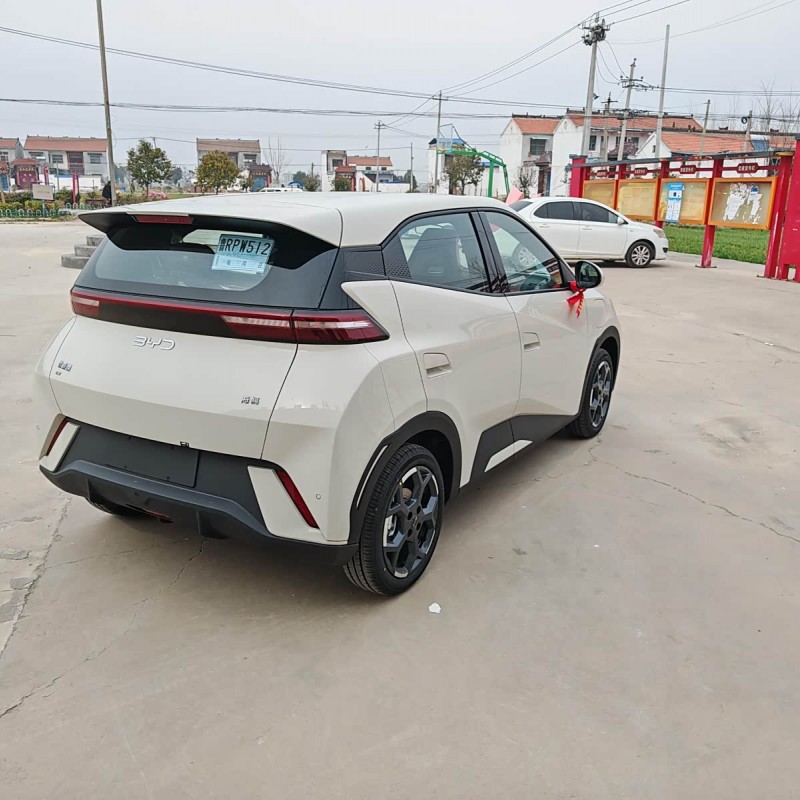 Seagull 2025 305km Vitality Edition Seagull 2025 305km Vitality Edition