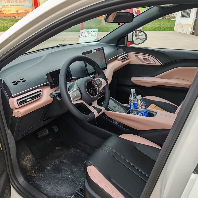 Seagull 2025 305km Vitality Edition Seagull 2025 305km Vitality Edition