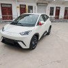 Seagull 2025 305km Vitality Edition