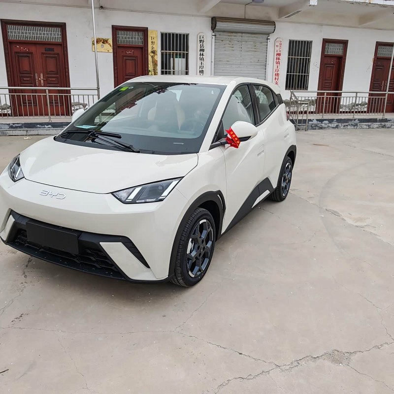 Seagull 2025 305km Vitality Edition