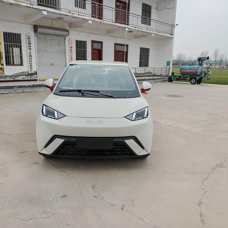 Seagull 2025 305km Vitality Edition Seagull 2025 305km Vitality Edition