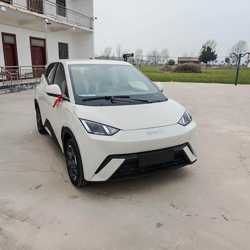 Seagull 2025 305km Vitality Edition Seagull 2025 305km Vitality Edition
