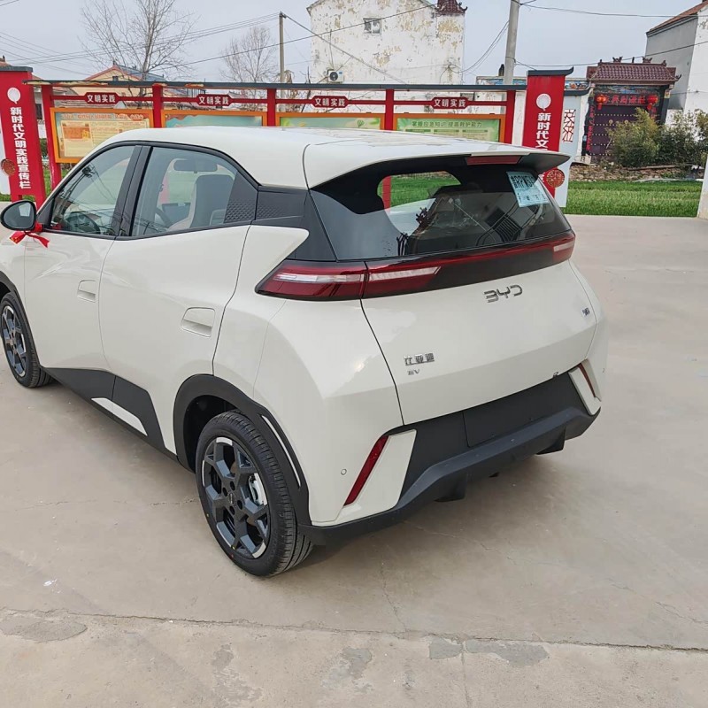 Seagull 2025 305km Vitality Edition Seagull 2025 305km Vitality Edition