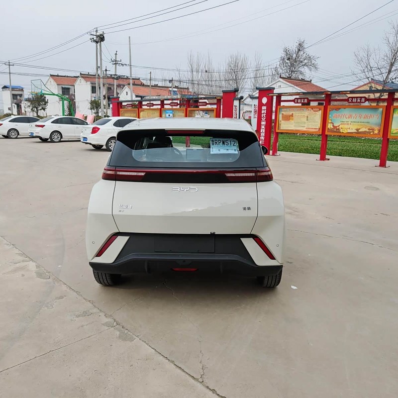 Seagull 2025 305km Vitality Edition Seagull 2025 305km Vitality Edition