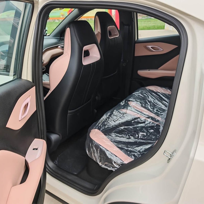 Seagull 2025 305km Vitality Edition Seagull 2025 305km Vitality Edition