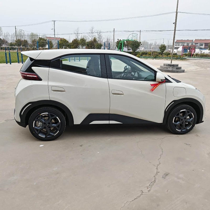 Seagull 2025 305km Vitality Edition Seagull 2025 305km Vitality Edition