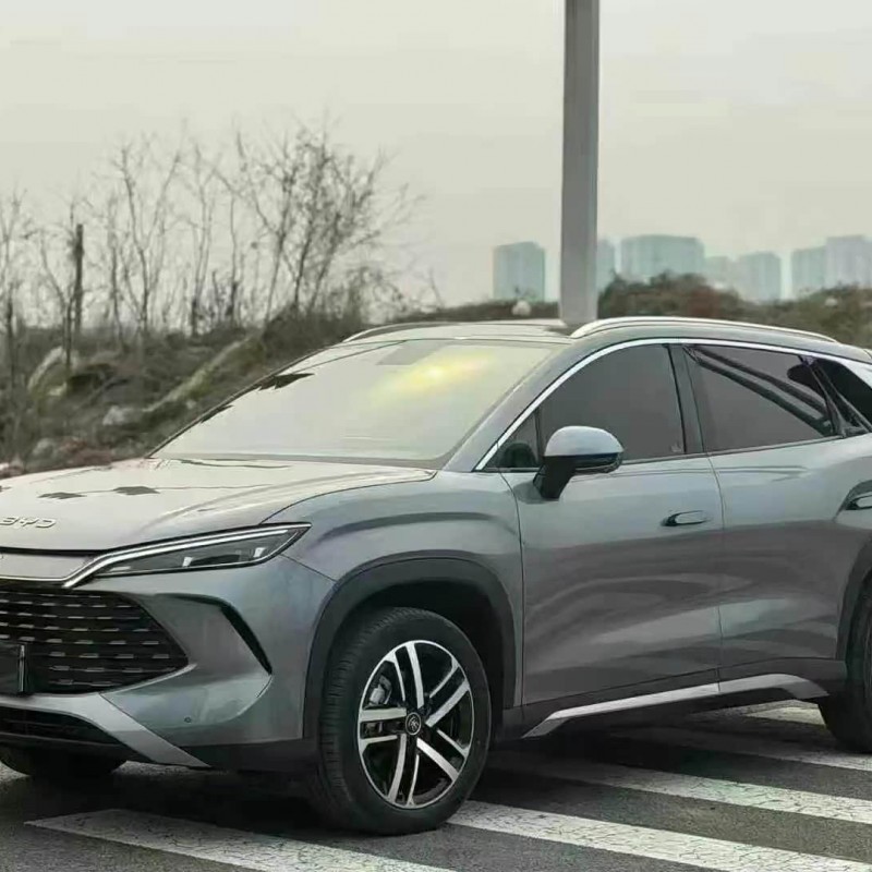 Song L DM-i 2024 model 112km Leading model Song L DM-i 2024 model 112km Leading model