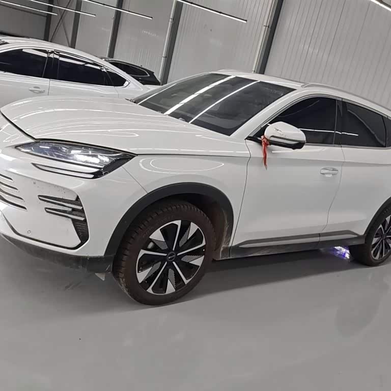 Song PLUS New Energy 2025 DM-i 112KM Premium Edition Song PLUS New Energy 2025 DM-i 112KM Premium Edition