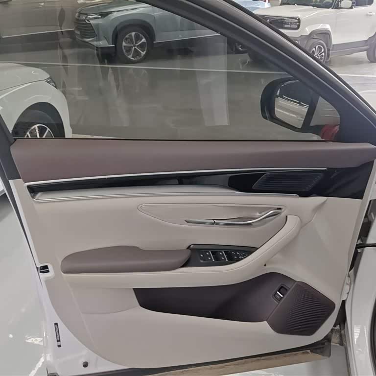 Song PLUS New Energy 2025 DM-i 112KM Premium Edition Song PLUS New Energy 2025 DM-i 112KM Premium Edition