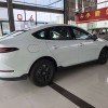 Qin PLUS 2025 DM-i Intelligent Driving Edition 55KM Leading Edition