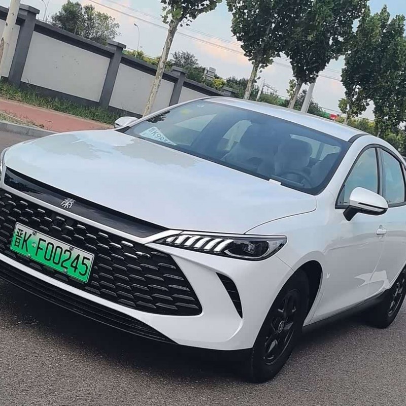 Qin PLUS 2025 DM-i Intelligent Driving Edition 55KM Leading Edition