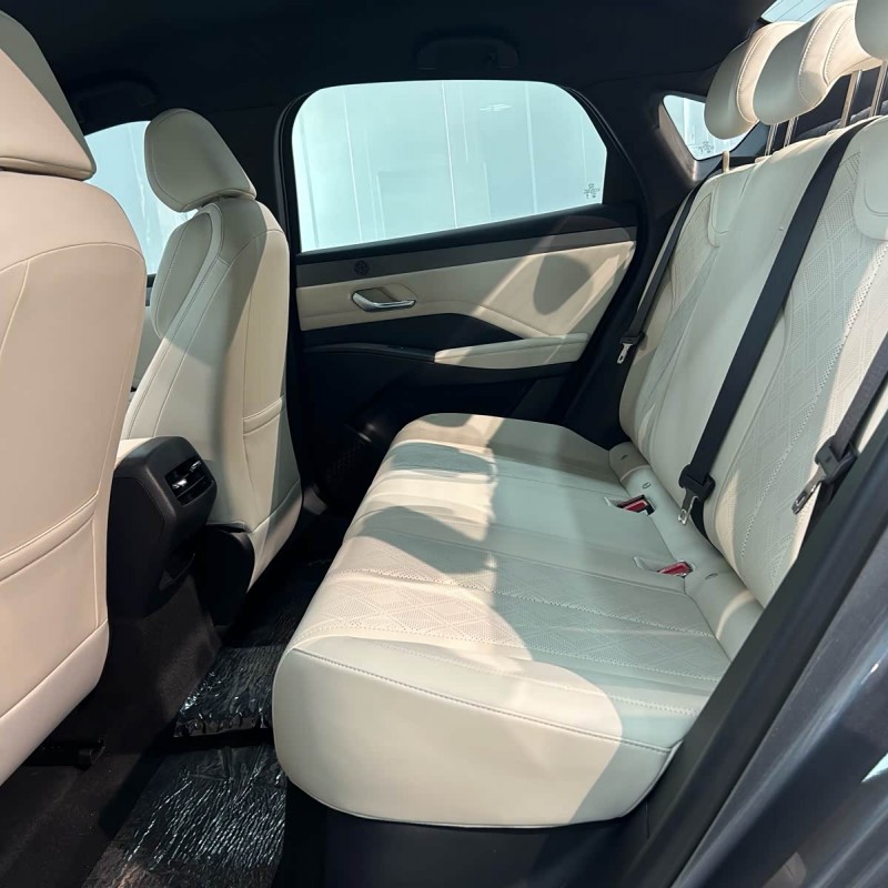 Qin PLUS 2025 DM-i Intelligent Driving Edition 55KM Leading Edition Qin PLUS 2025 DM-i Intelligent Driving Edition 55KM Leading Edition