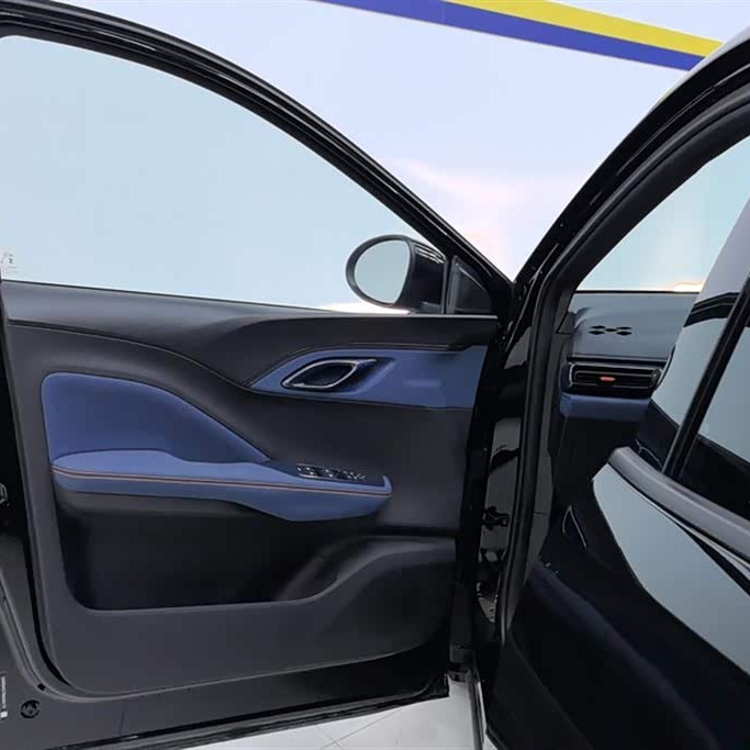 Seagull 2024 Glory Edition 305km Vitality Edition Seagull 2024 Glory Edition 305km Vitality Edition