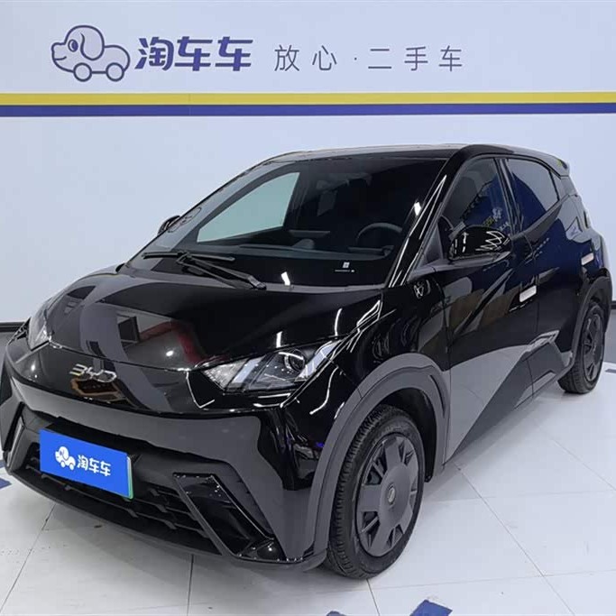 Seagull 2024 Glory Edition 305km Vitality Edition