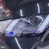 Seagull 2024 Glory Edition 305km Vitality Edition