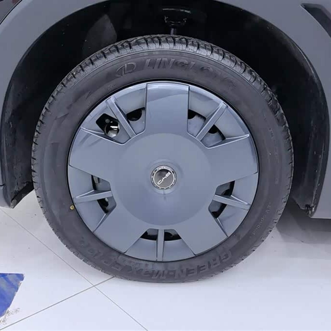Seagull 2024 Glory Edition 305km Vitality Edition Seagull 2024 Glory Edition 305km Vitality Edition
