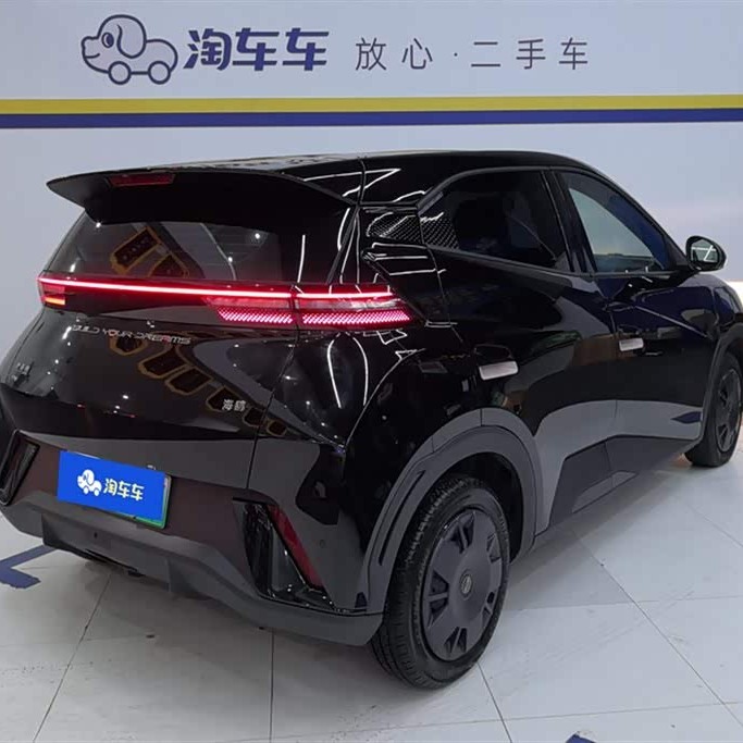 Seagull 2024 Glory Edition 305km Vitality Edition Seagull 2024 Glory Edition 305km Vitality Edition