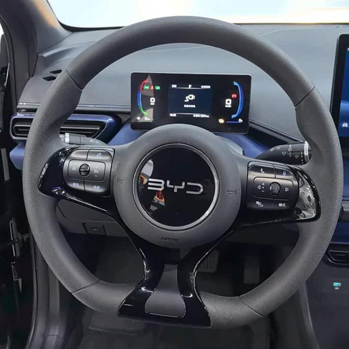 Seagull 2024 Glory Edition 305km Vitality Edition Seagull 2024 Glory Edition 305km Vitality Edition