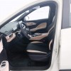 Seagull 2025 Smart Driving Edition 305km Vitality Edition