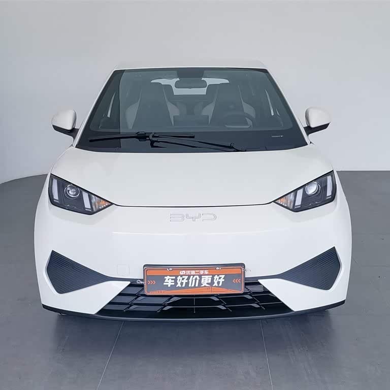 Seagull 2025 Smart Driving Edition 305km Vitality Edition Seagull 2025 Smart Driving Edition 305km Vitality Edition
