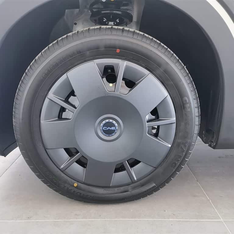 Seagull 2025 Smart Driving Edition 305km Vitality Edition Seagull 2025 Smart Driving Edition 305km Vitality Edition