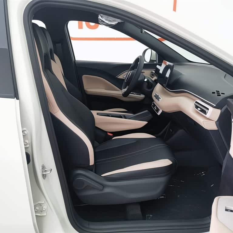 Seagull 2025 Smart Driving Edition 305km Vitality Edition Seagull 2025 Smart Driving Edition 305km Vitality Edition