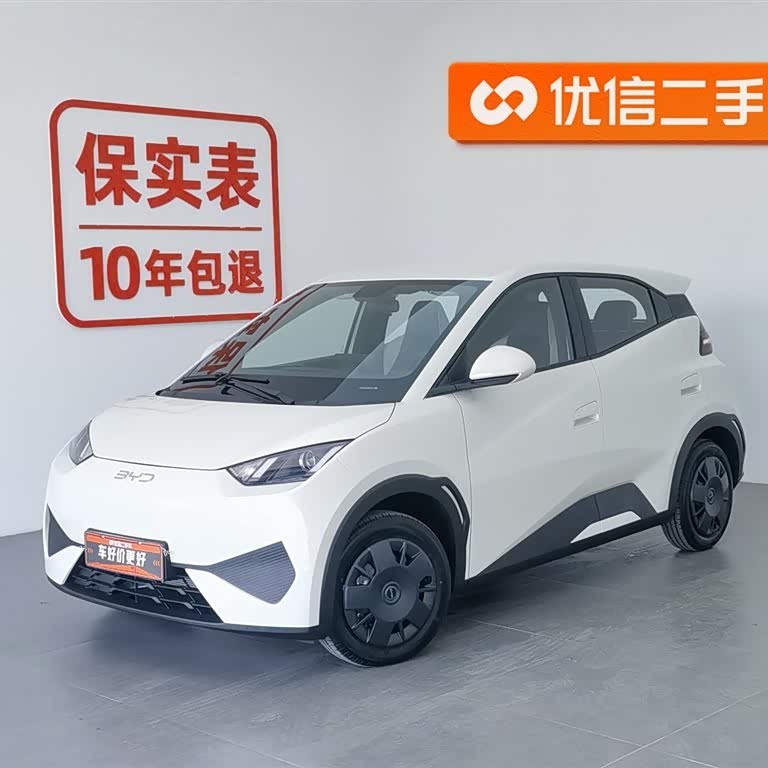 Seagull 2025 Smart Driving Edition 305km Vitality Edition