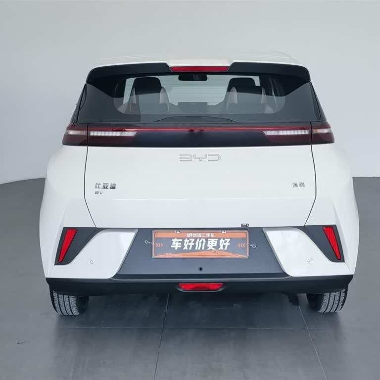 Seagull 2025 Smart Driving Edition 305km Vitality Edition Seagull 2025 Smart Driving Edition 305km Vitality Edition