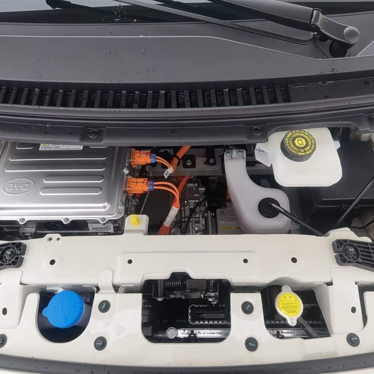 Seagull 2025 Smart Driving Edition 305km Vitality Edition Seagull 2025 Smart Driving Edition 305km Vitality Edition